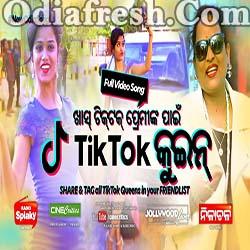 TikTok Queen - New Odia Romantic Masti Song (Jayashree Dhal)